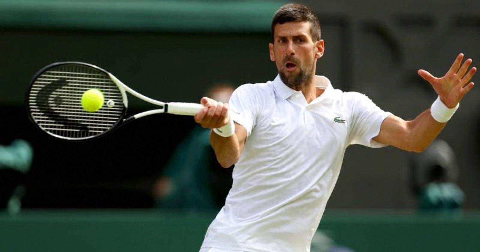 九游娱乐网页-年终总决赛翻盘ATP总决赛,德约科维奇惊艳四座