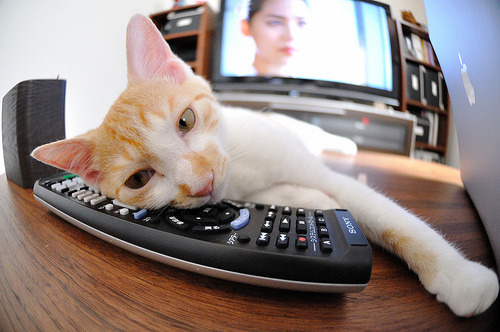 9you娱乐-深圳奇迹，淘汰赛掀翻尼克斯，英格拉姆化身冰冷终结者