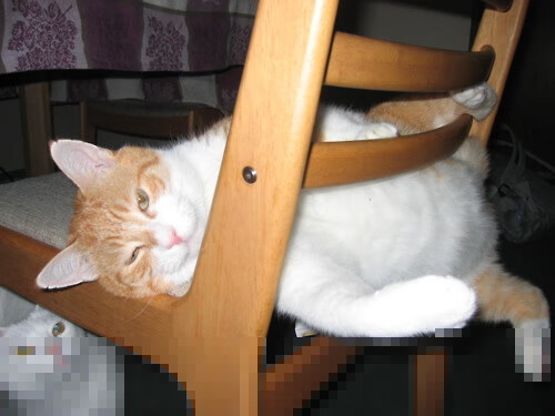 9you娱乐-基耶萨编织意式牢笼，北欧风暴再袭梦剧场，曼联的体系之殇