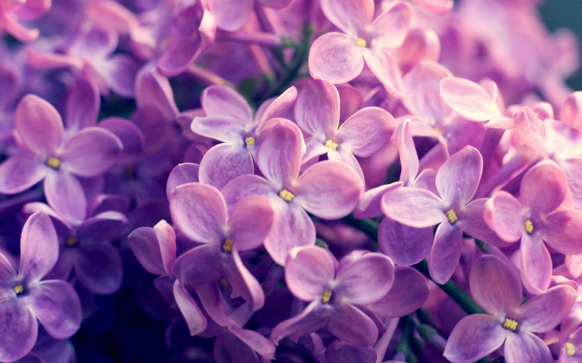 九游中国-无疆的绿茵,当智利的铜矿脉动遇见埃及的千年鼓点